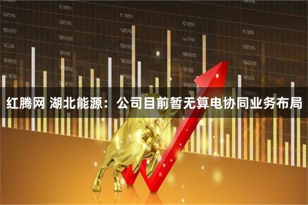 红腾网 湖北能源：公司目前暂无算电协同业务布局